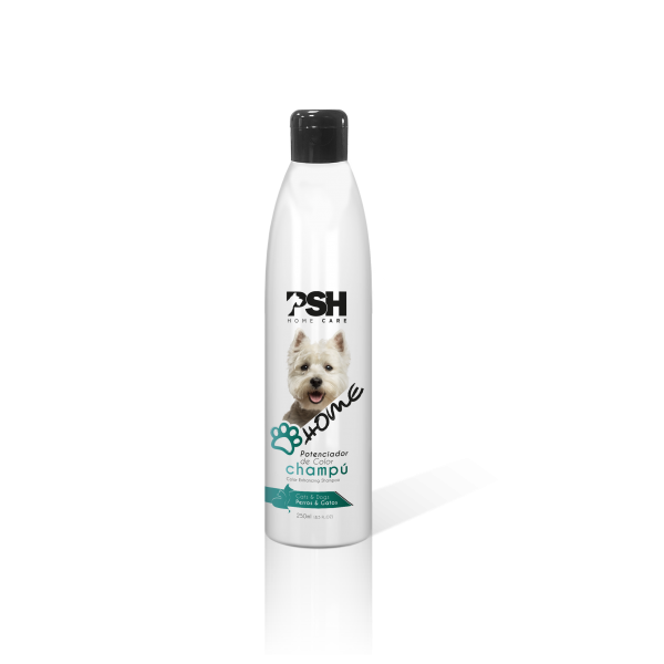 PSH Home - Colour Enhancing - farbintensivierendes Shampoo